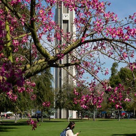 UCR Campus Belltower with blooms