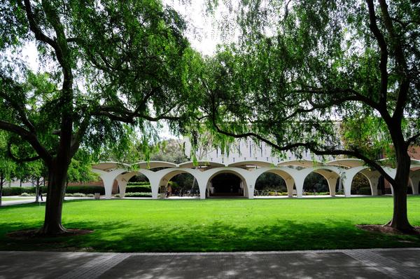 Rivera library 