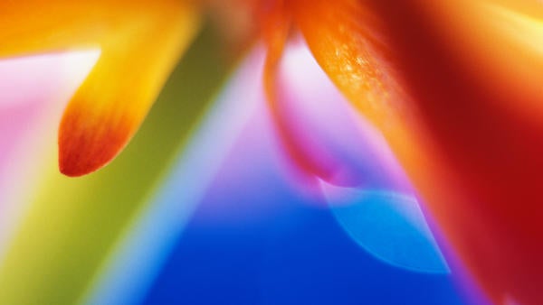 flower abstract