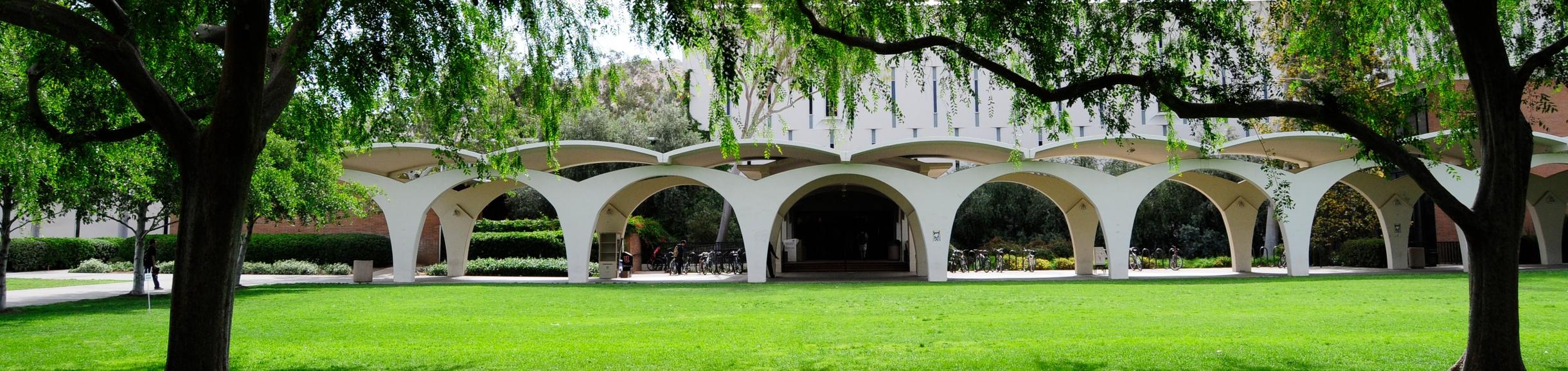 Rivera library